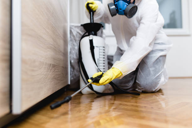 Best Ant Control Services  in Barview, OR