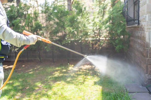Best Flea Control Services  in Barview, OR
